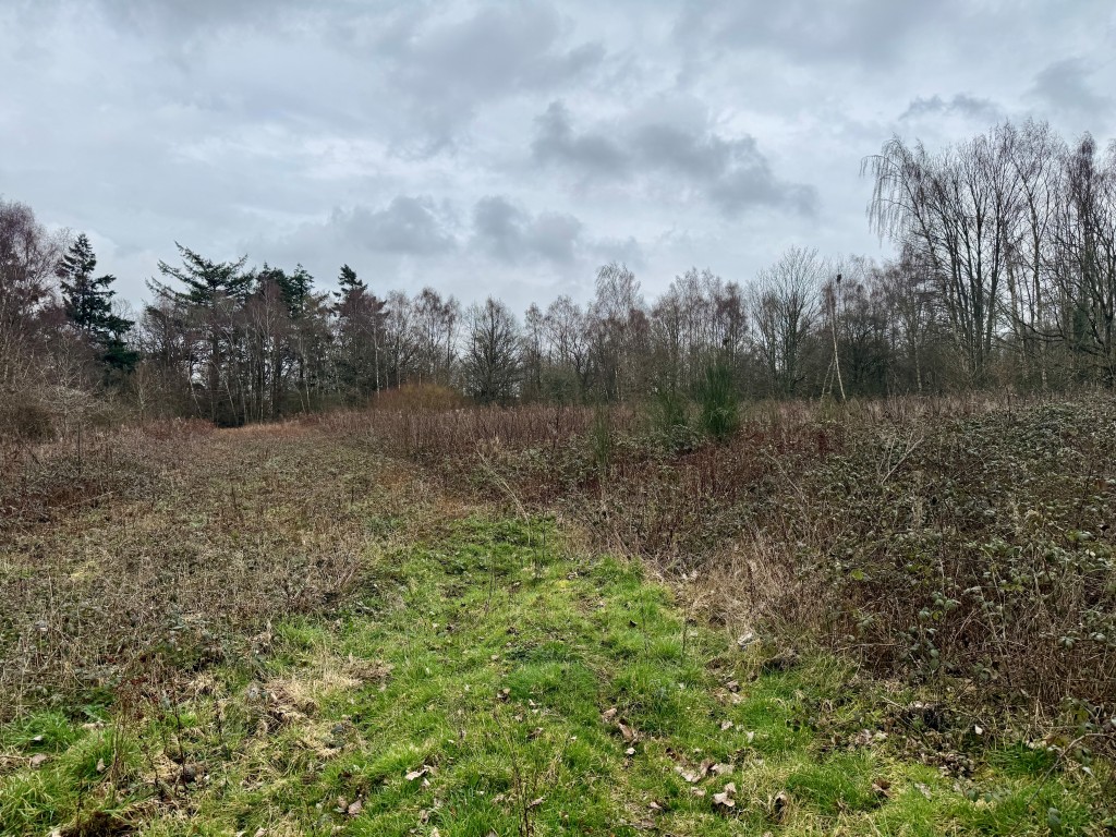 Lot: 40 - APPROXIMATELY 26 ACRES OF LAND - Open clearing